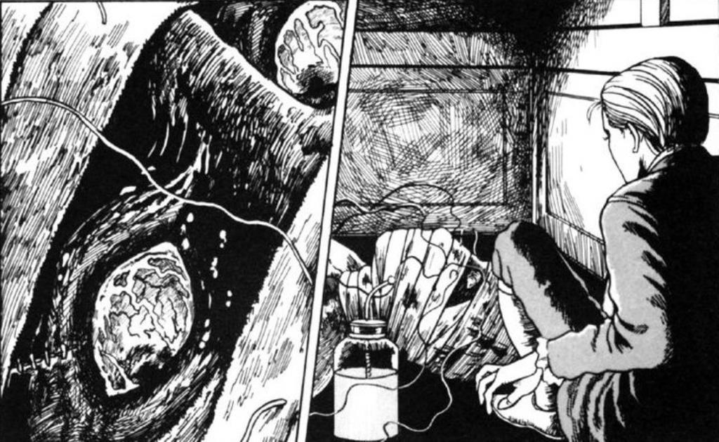 Frankenstein de Junji Ito - O Ultimato (5)